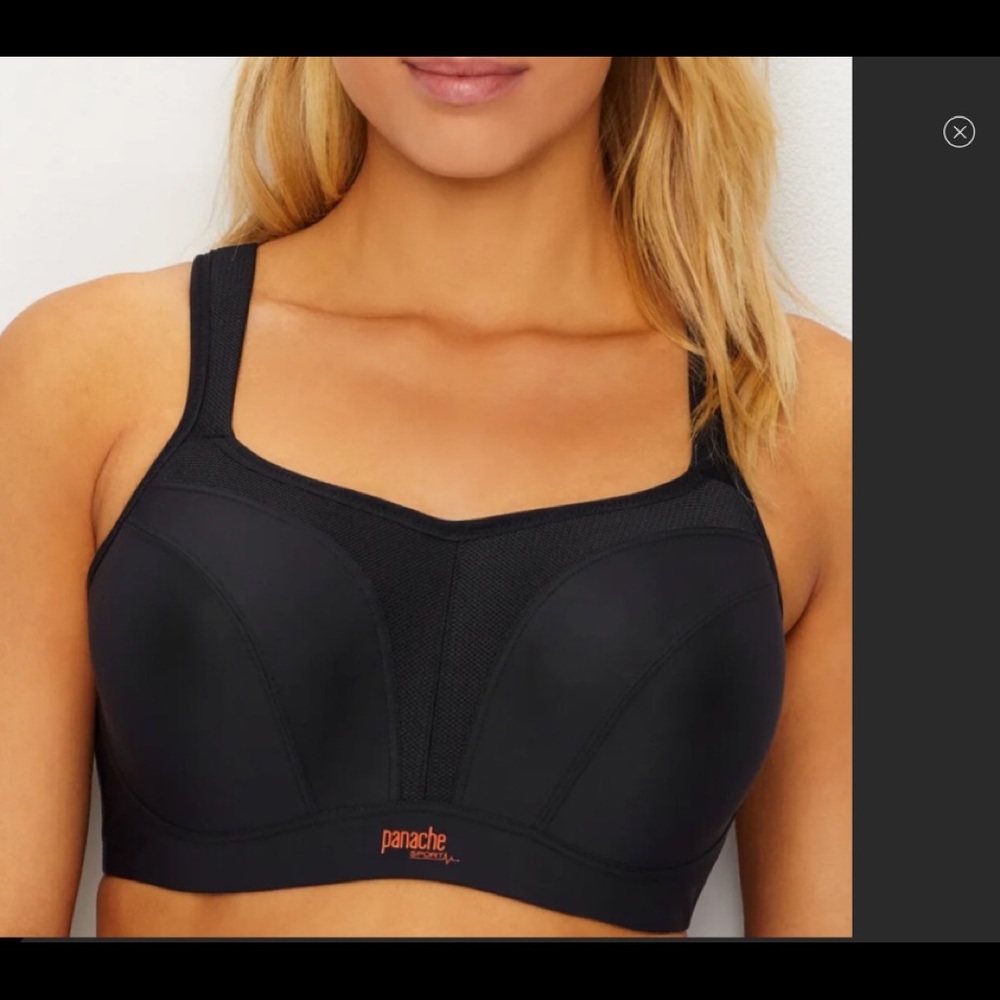 Panache 34 dd (E). Sports Bra
